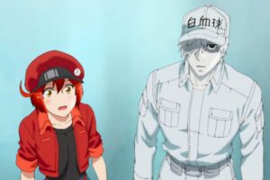 classement des 10 meilleurs dessins animes droles sur netflix 2021