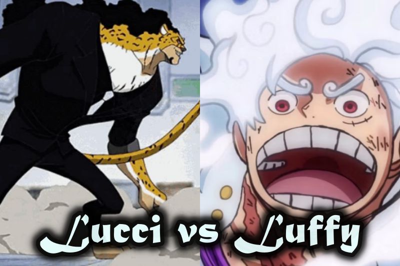 Quelle est la force de Rob Lucci en CP0 ? (One Piece)